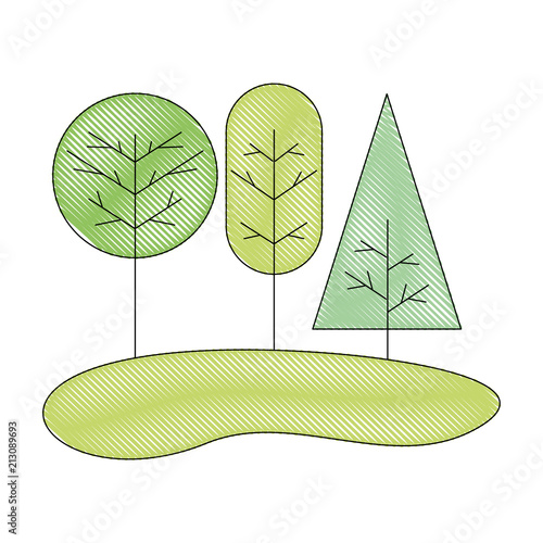 trees natural forest botanical image