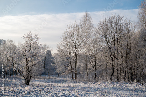 Winter landscape © VJ