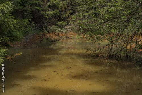 Orange pond near Marianske Lazne spa photo