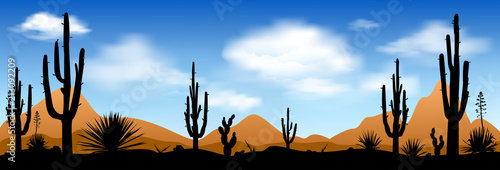Early morning in the desert