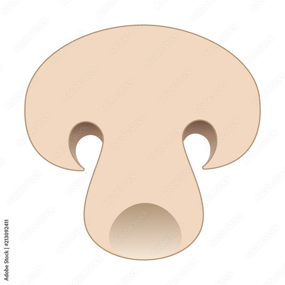 Slice of mushroom. Top view macro detail sliced fresh mushroom texture. Vector illustration isolated on white background. Slice of mushroom. Top view macro detail sliced fresh mushroom texture. Vector illustration isolated on white background.