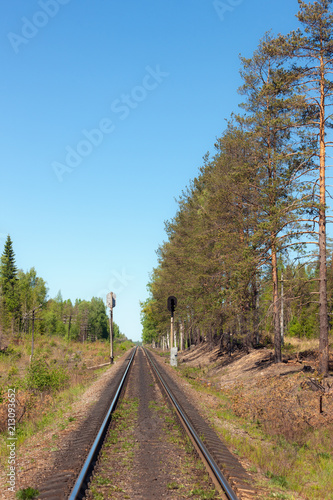 single-track railway in the forest