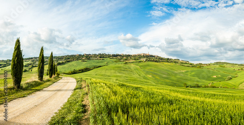 Typical Tuscan rural landscape scene. Road, fields, trees. Amazing fresh green colors. Travel, adventure, relax, piece.