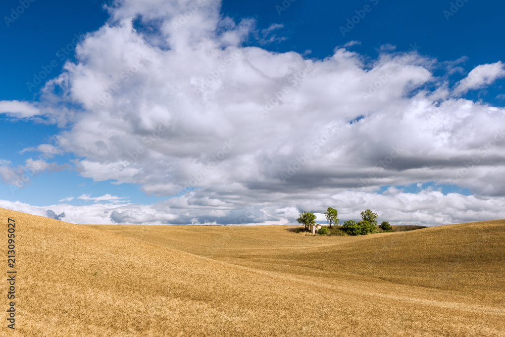 Rural scene, typical french countryside. Field of crop, blue sky with some clouds. Very peaceful, relaxing. Place for holiday. Vacation destination.