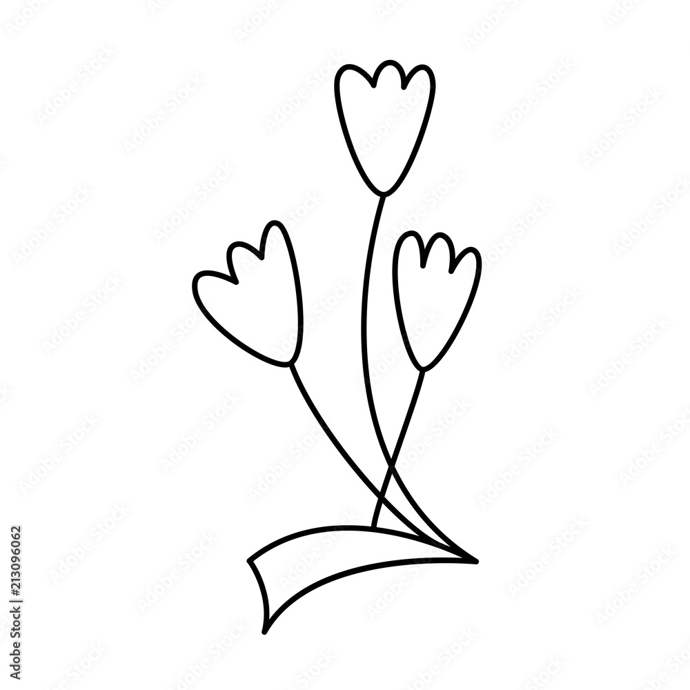 Design with line art flowers, transparent background Design with line art flowers, transparent background