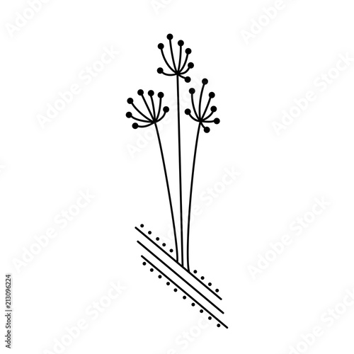 Design with line art flowers, transparent background