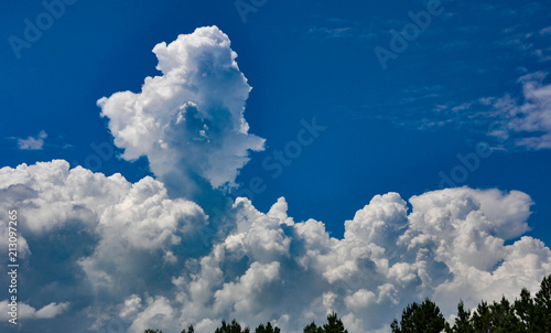 Fluffy White Clouds in Blue Sky  © Jessica