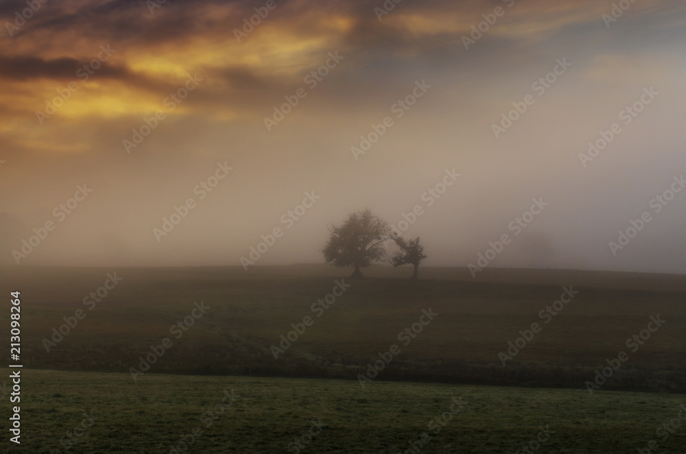 Solitude Solitude