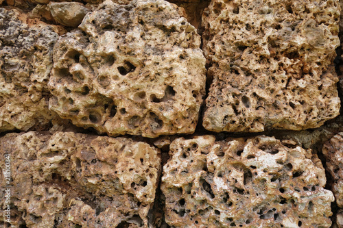 Coral rock wall