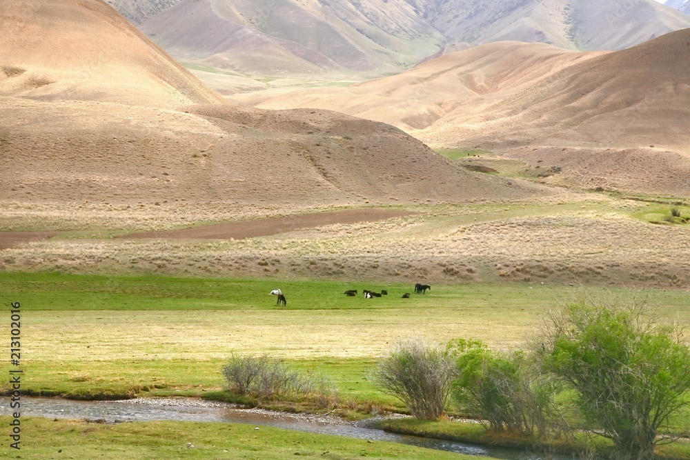 Fototapeta premium The route of beautiful scenic from Bishkek to Naryn city of Kyrgyzstan