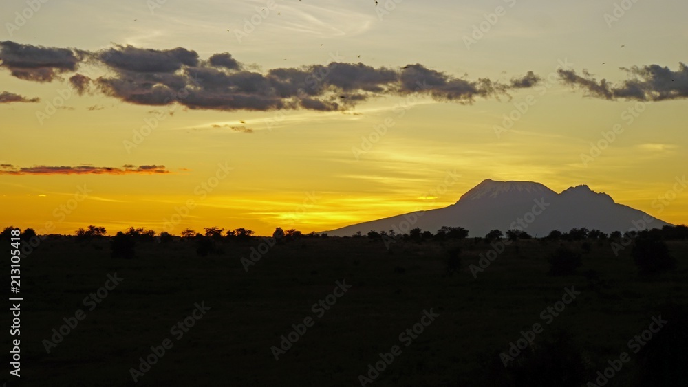 Obraz premium sunset over kenyan sananna