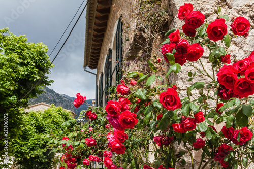 Valldemossa