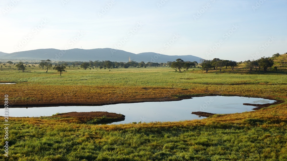 water whole with kenyan nature