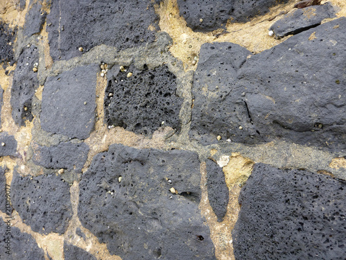 Close-up of a old Cemented lava stone wall with small shells photo