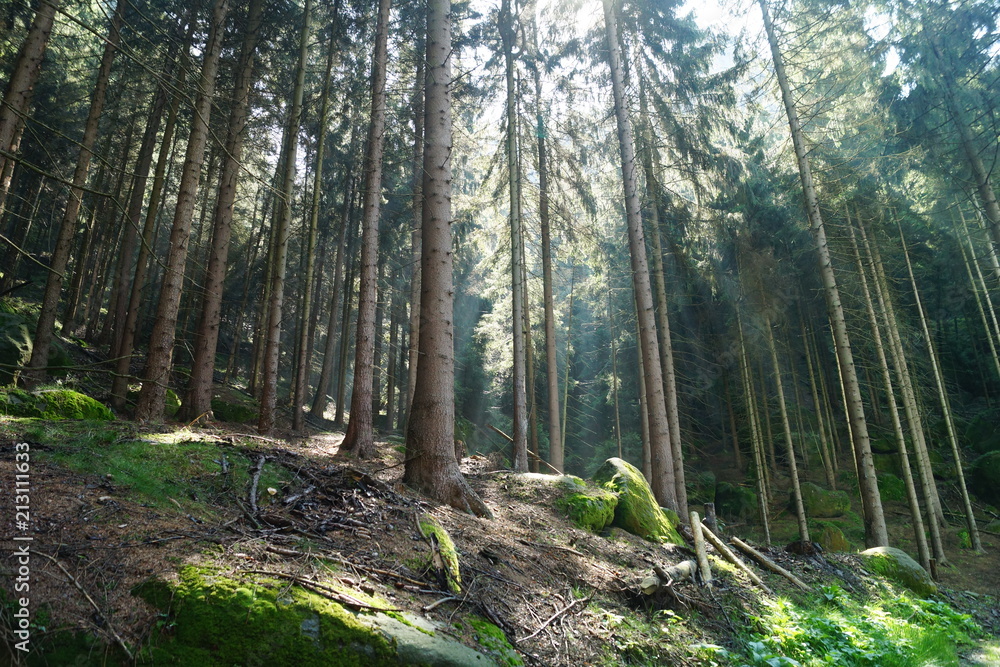 Saxon Switzerland, Germany