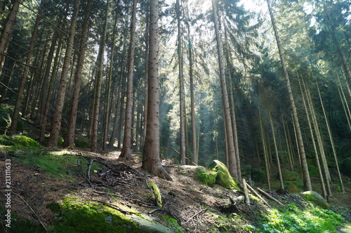 Obraz na płótnie Saxon Switzerland, Germany w salonie