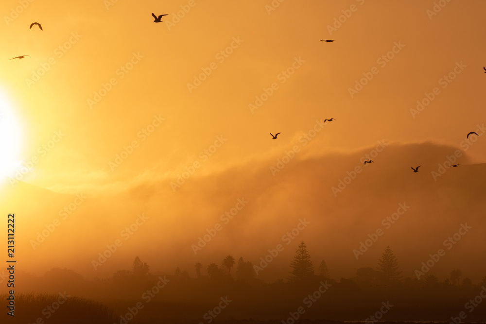 Fototapeta premium Sunset Birds