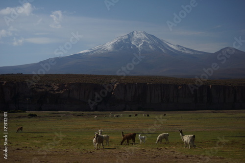 Obraz na płótnie Uyuni, Bolivia w salonie