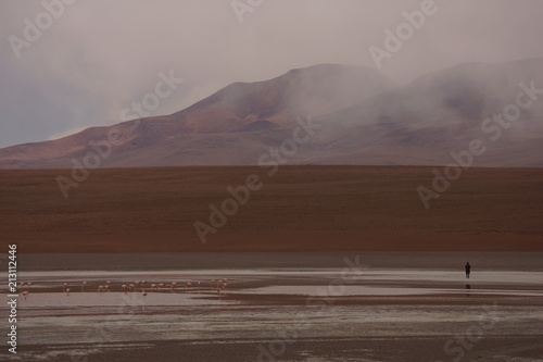 Obraz na płótnie Uyuni, Bolivia w salonie