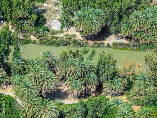 Preveli Tal mit tropischer Vegetation und Fluss, Kreta, Griechenland photo