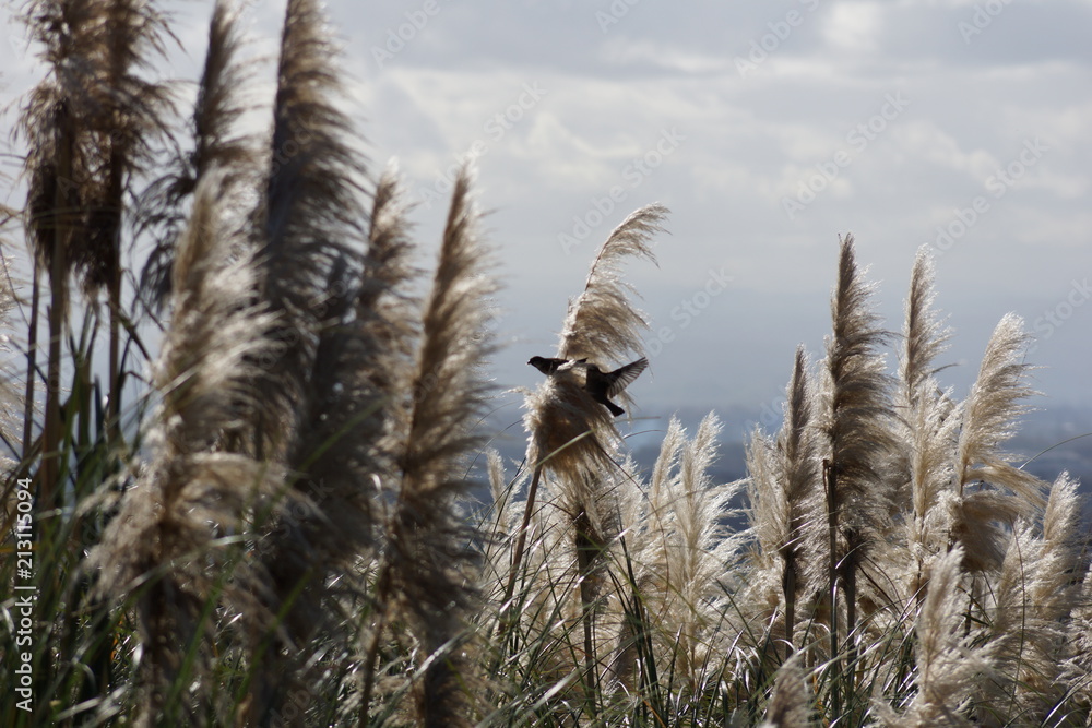 Napier, New Zealand