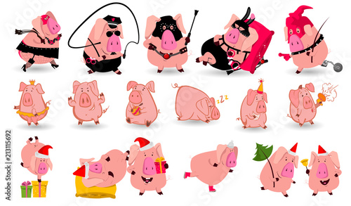 Set of chinese symbol of the 2019 year pig with different emotions. Vector isolated illustration. Creative design of the New Year's card in 2019 pig