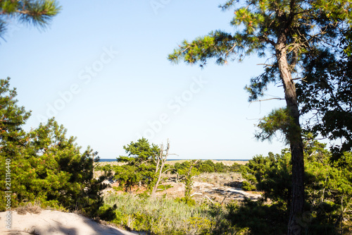 Atlantic Ocean landscape