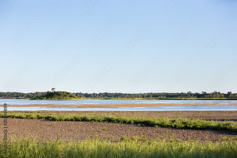 marsh pond landscape
