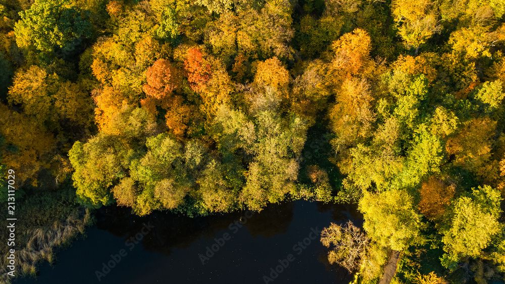 Golden autumn background, aerial view of forest with yellow trees and beautiful lake landscape from above, Kiev, Goloseevo forest, Ukraine
Golden autumn background, aerial view of forest with yellow trees and beautiful lake landscape from above, Kiev, Goloseevo forest, Ukraine