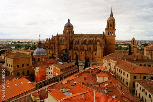 Obraz na płótnie Salamanca, Spain w salonie