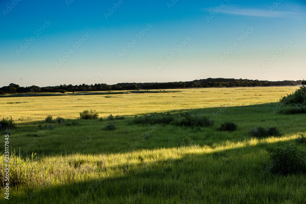 sunset field