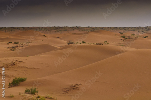 Maranjab Desert in Iran