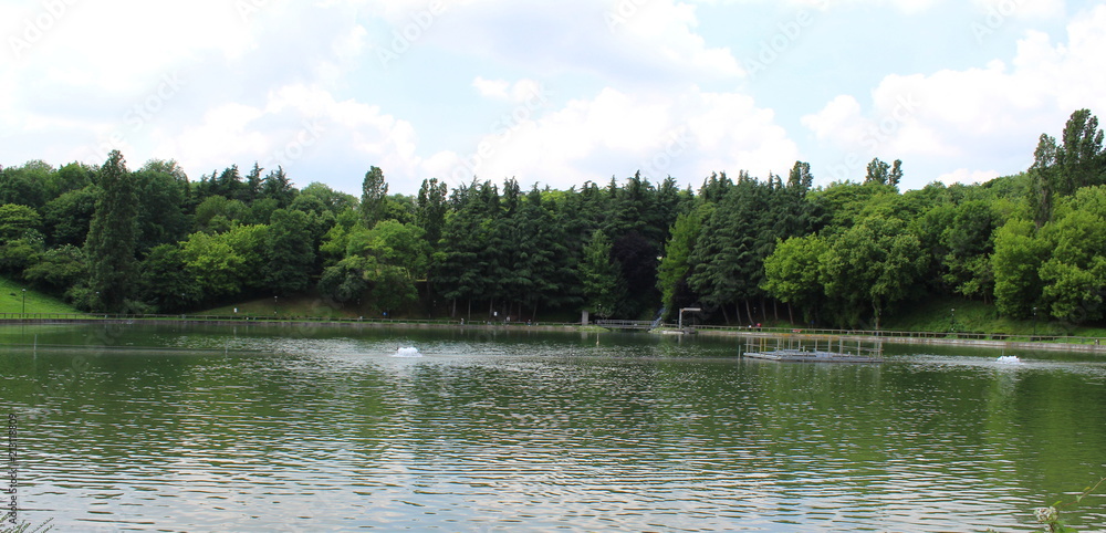 Lago nel parco in Estate