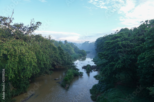 View of a river with a green tropical forest in the jungle of Sri Lanka