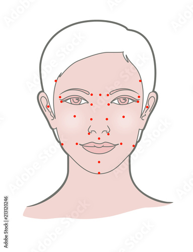 Shiatsu points face massage, acupuncture. Vector. Isolated on white background