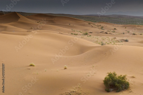 Maranjab Desert in Iran