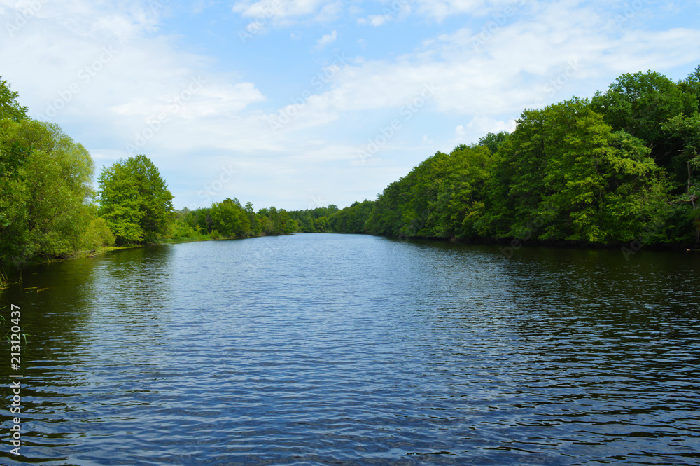 river in the forest