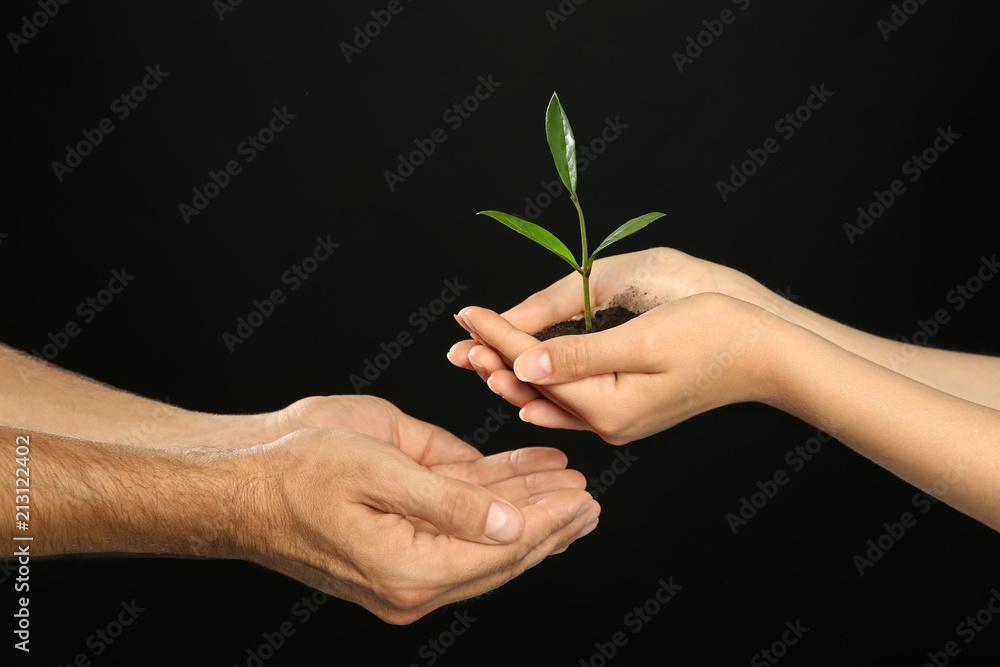 Woman passing soil with green plant to man on black background. Family concept Woman passing soil with green plant to man on black background. Family concept