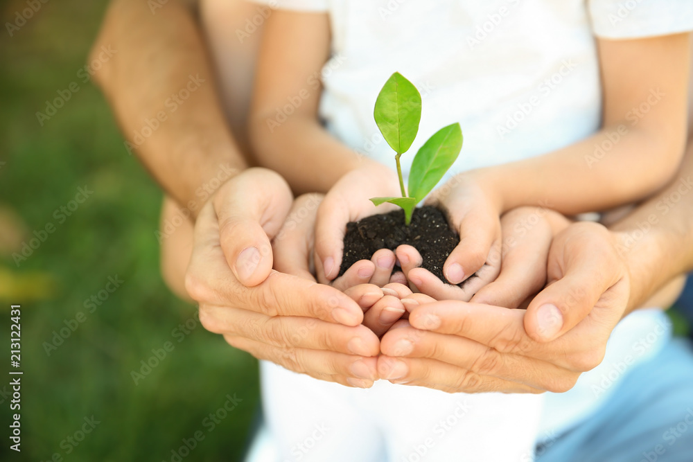Family holding soil with green plant in hands on blurred background Family holding soil with green plant in hands on blurred background