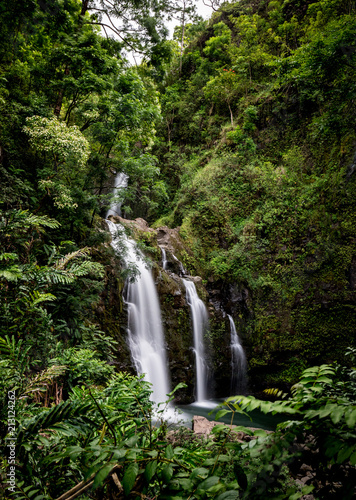 Tropical jungle waterfall on Maui