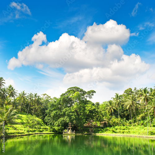 Tropical lake palm trees blue sky Nature landscape