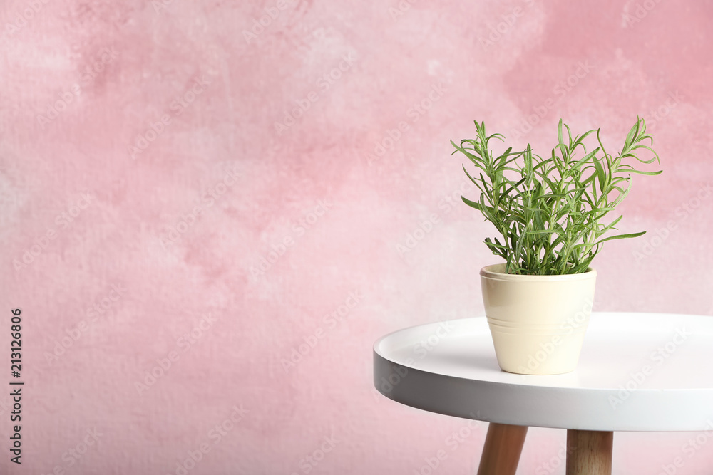 Pot with fresh rosemary on table against color background