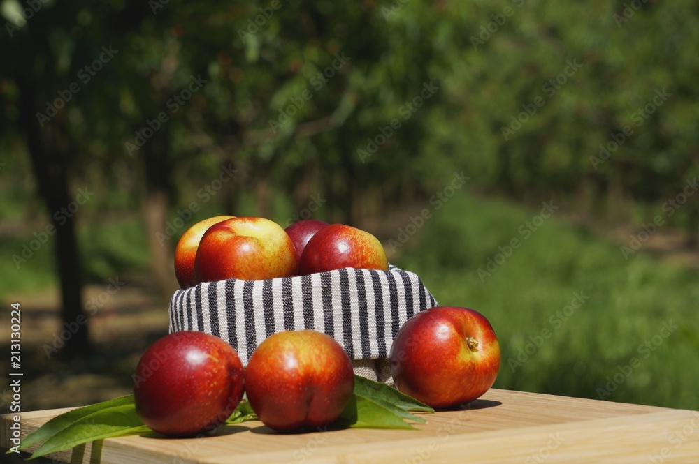 Nectarines Nectarines