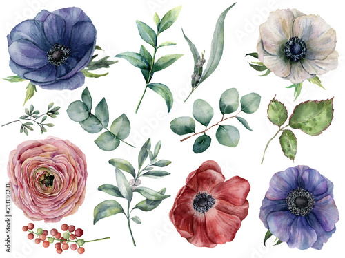 Foto Watercolor eucalyptus, anemone and ranunculus floral set