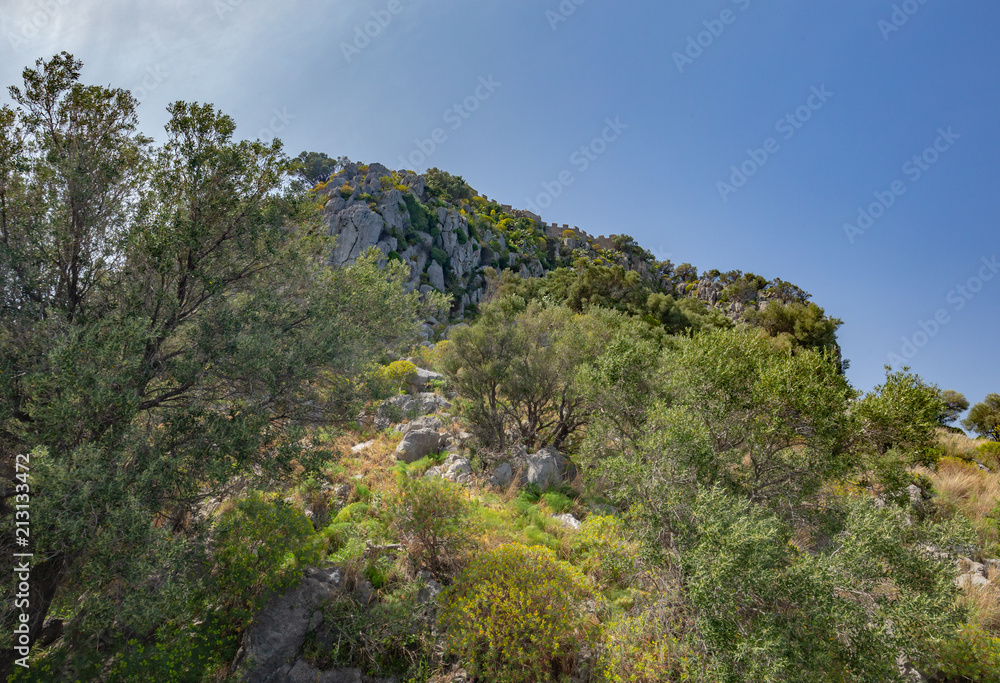 Sicilian Summer Landscape near Cefalù