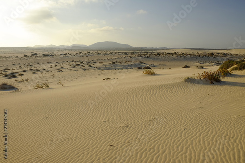 National park Corralejo on Fuerteventura Spain.