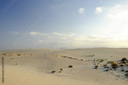 Natural reserve with sand dunes in Corralejo Fuertevra, Spain.