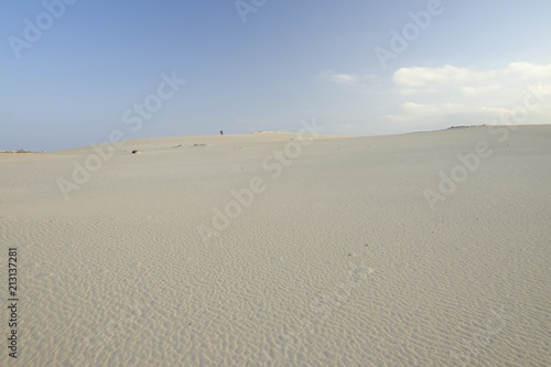 Natural reserve with sand dunes in Corralejo Fuertevra  Spain.