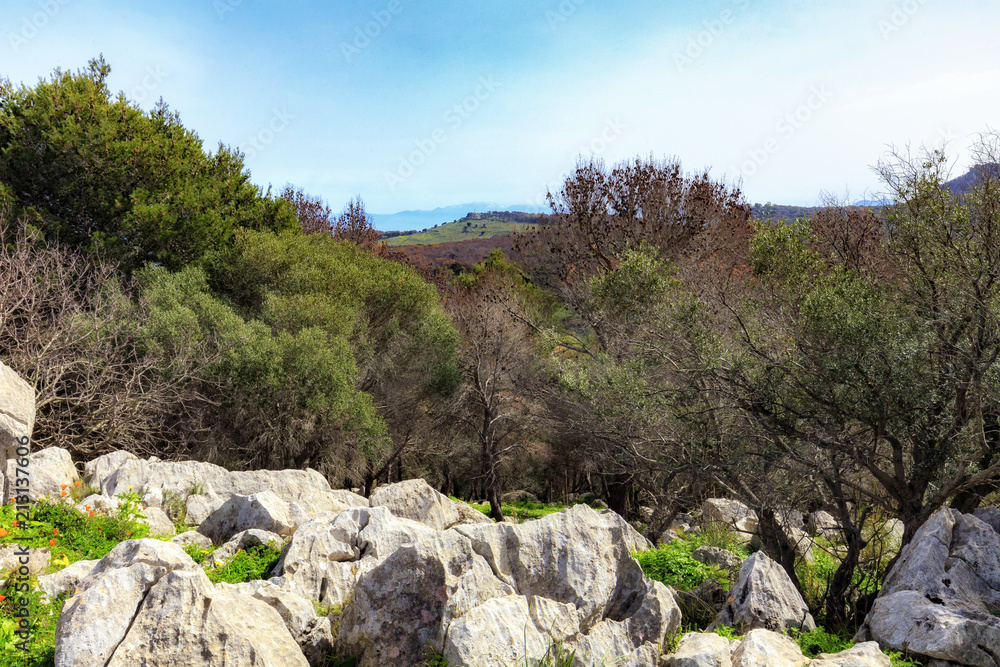 sizilianische Frühlingslandschaft auf der Insel