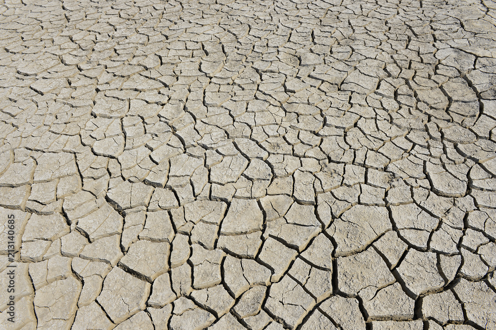 The parched soil The parched soil